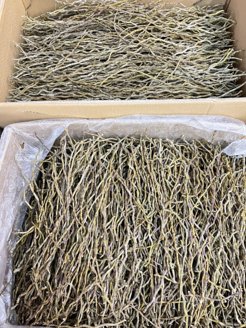 铁皮石斛干条、胶质浓郁、全化渣、现货500多公斤