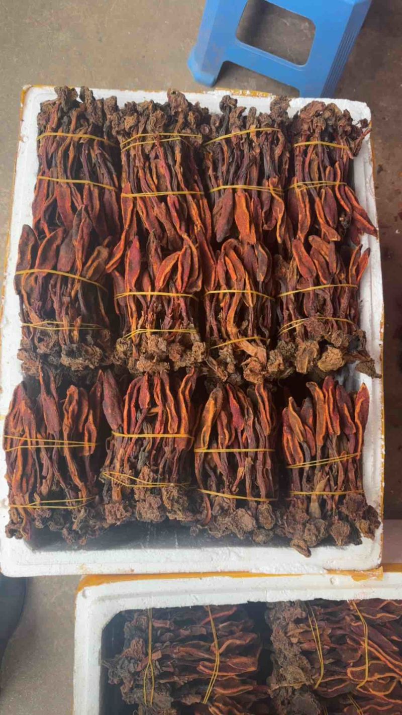 云南锦华药材批发部回春草，自己的加工厂，保证一手货源。