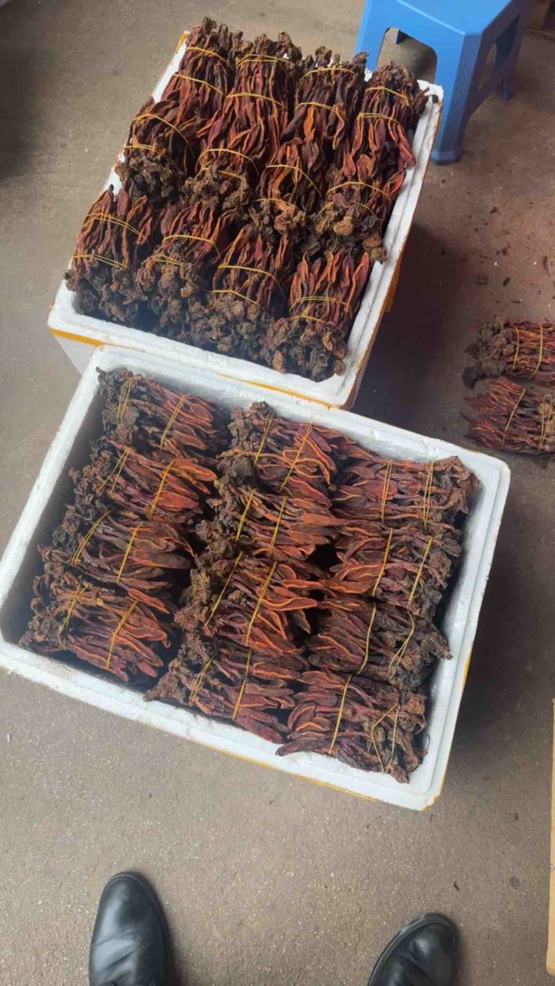 云南锦华药材批发部回春草，自己的加工厂，保证一手货源。