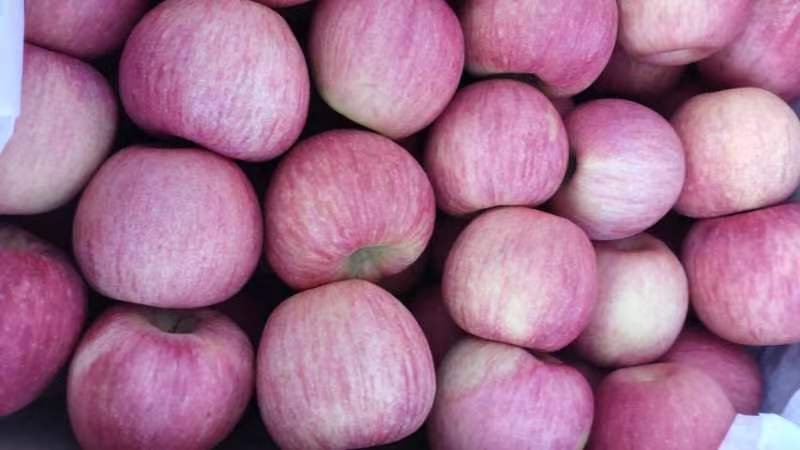 嘎啦苹果特写图