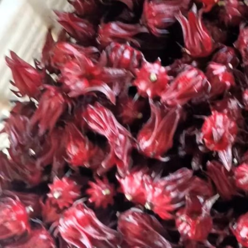 洛神花玫瑰茄广西产地直销大量上市品质好价格低