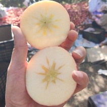 新疆阿克苏冰糖心苹果，套袋果，光果，每个都有糖心，口感甜