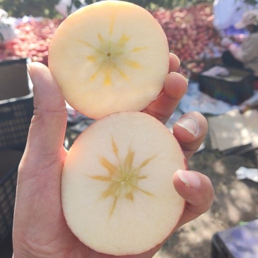 新疆阿克苏冰糖心苹果，套袋果，光果，每个都有糖心，口感甜
