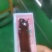 牛肉手撕、工厂直发，整条、拼接、碎牛肉手撕（支持代工）