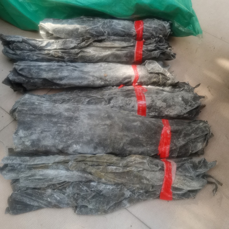 精品海带头一件20斤超市赶集跑江湖一手货源