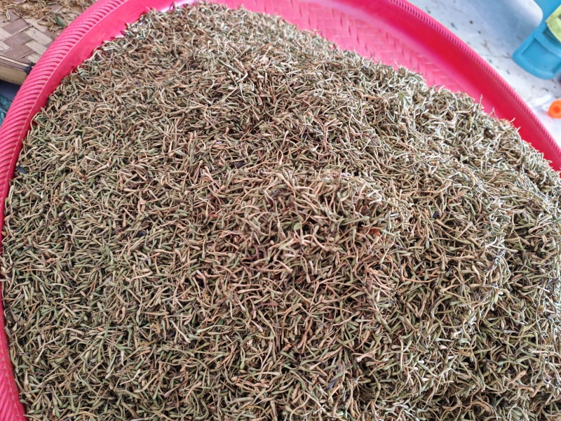 贵州安龙无硫金银花，可泡茶，可入药