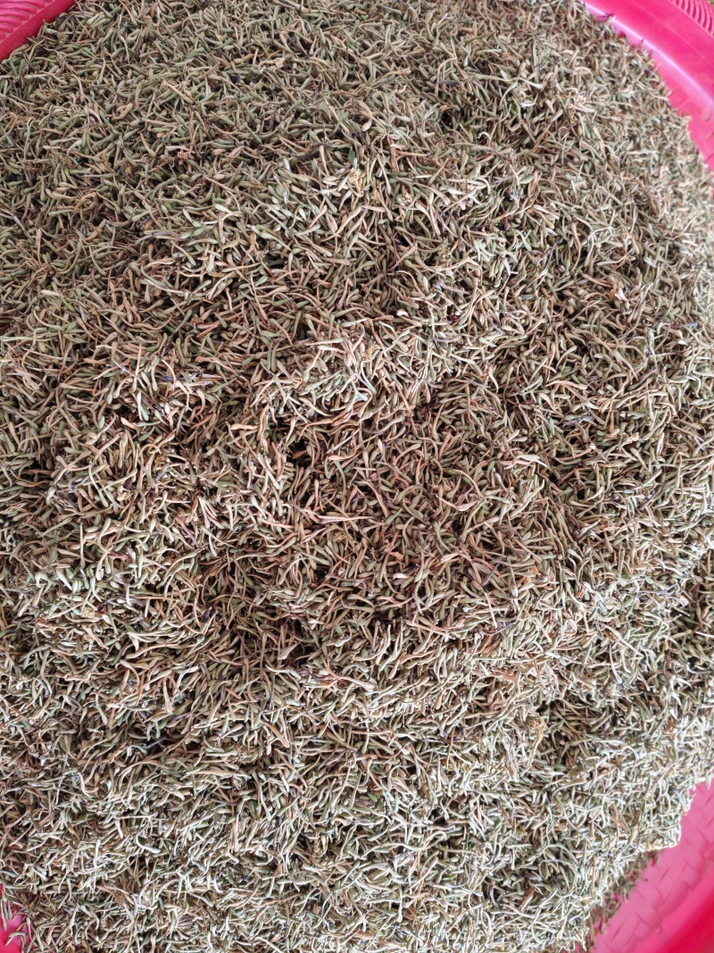 贵州安龙无硫金银花，可泡茶，可入药