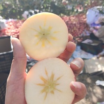 新疆正宗阿克苏冰糖心苹果，每一颗都有的糖心，口感香甜酥脆
