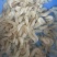 正宗白米虾白条虾大白虾可加工虾尾冻货