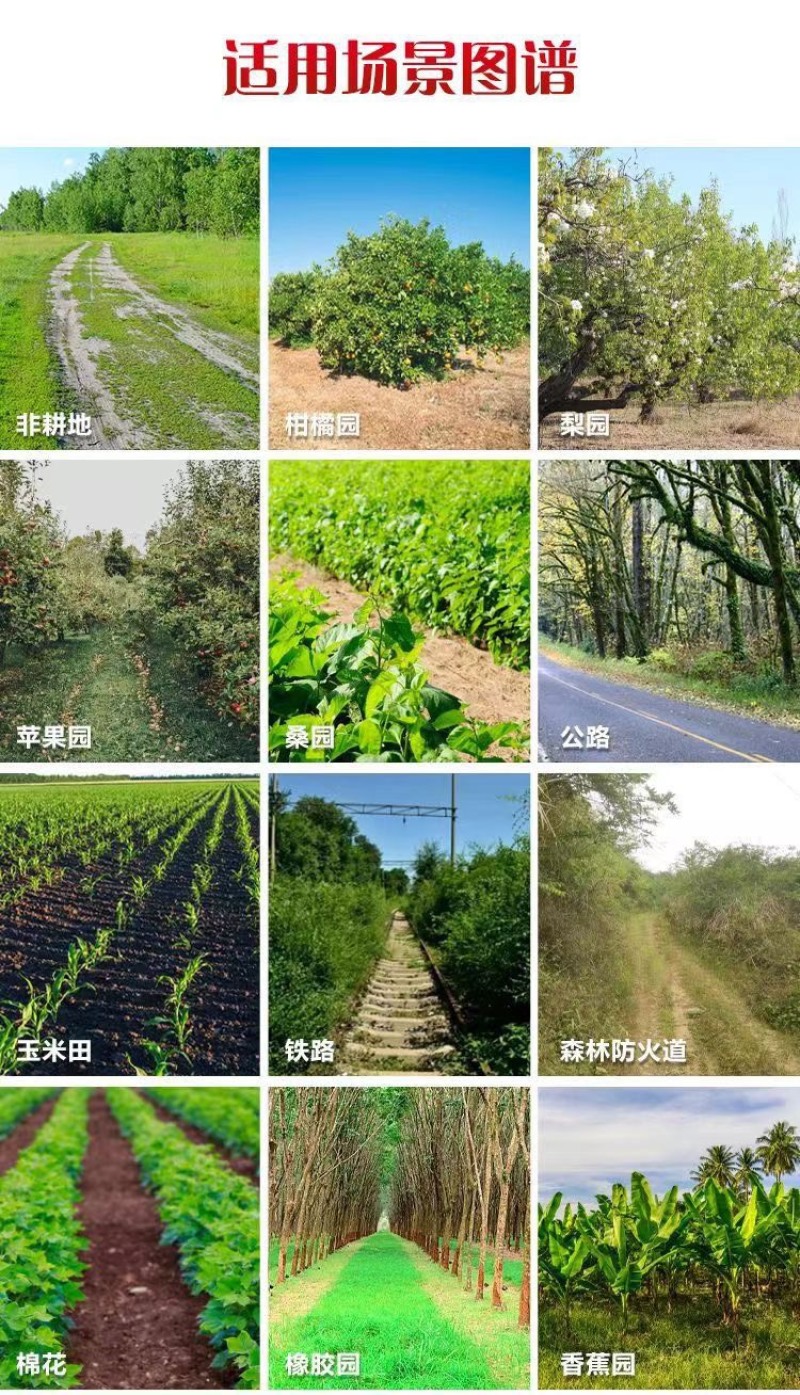 丰化农欢2甲·草甘膦除草剂烂根可溶粉剂