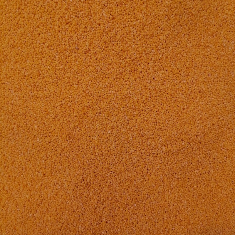 朝阳小米