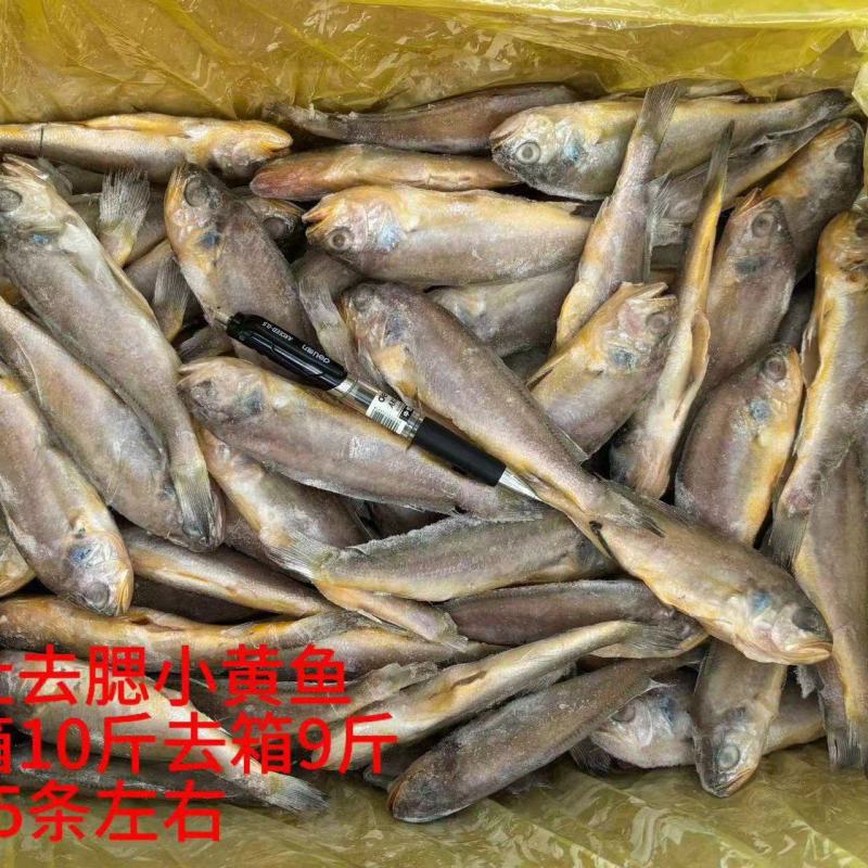 小黄鱼