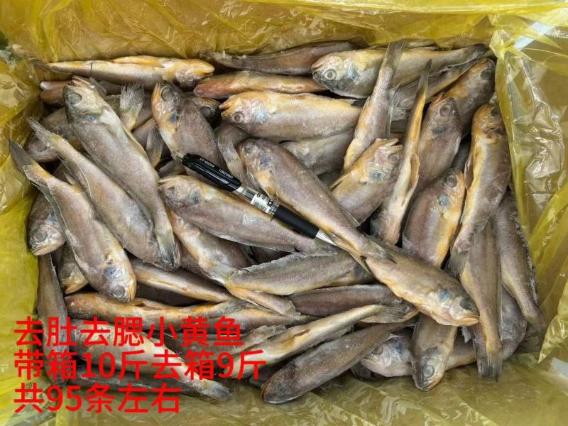 小黄鱼