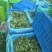 大叶香菜，产地直销