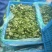 大叶香菜，产地直销