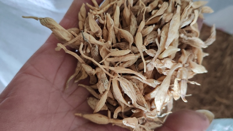 纯野生麦冬大麦冬水洗麦冬药食两用药材