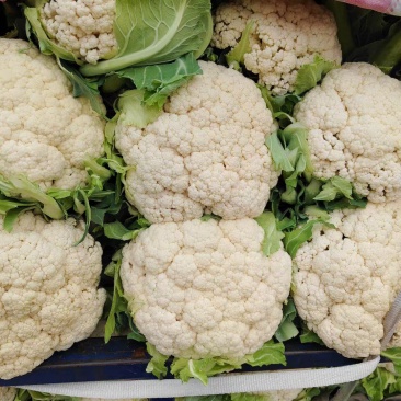 菜花有机松花菜安徽产区散花小米粒花菜代收代发全国