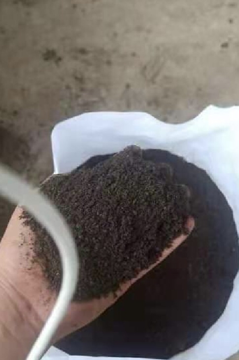 发酵有机肥（纯羊粪）可散装可精包装可视频看货