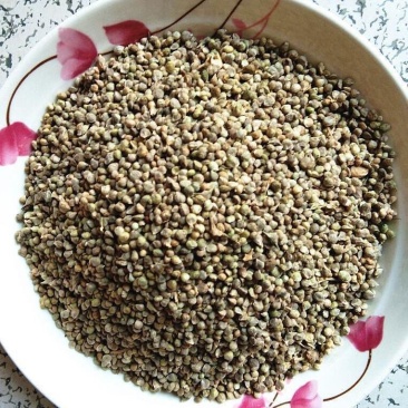 中药材菠菜籽生菠菜子菠菜籽