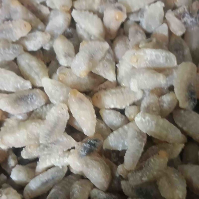 金环五级树峰三级