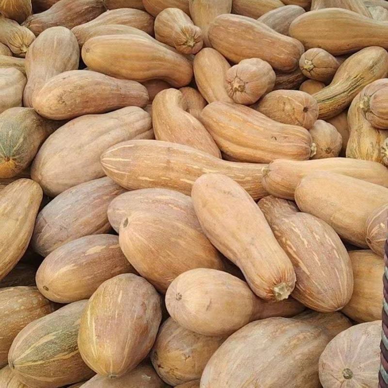 【实力】湖南金韩密本南瓜老南瓜供应电商市场食堂工厂