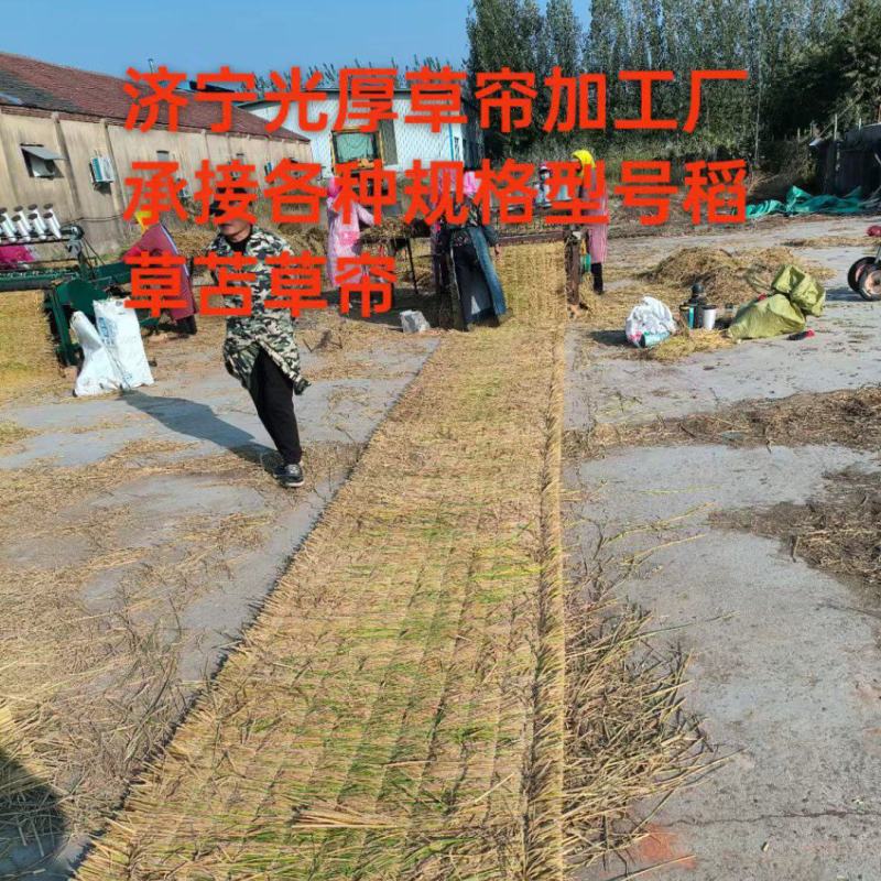 稻草苫草帘