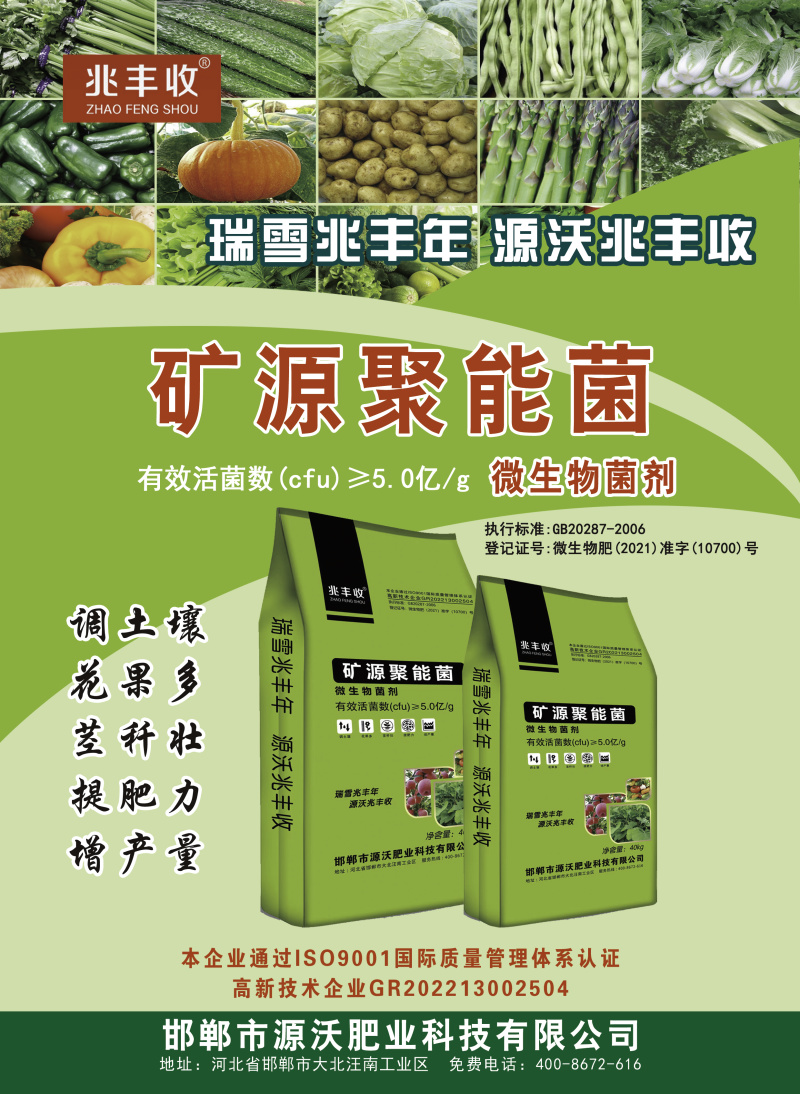 矿源聚能菌微生物菌剂每克5亿菌厂家直销