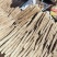 基地一手货源白玉山药价格实惠山药诚信经营