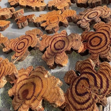 网红鸡血藤