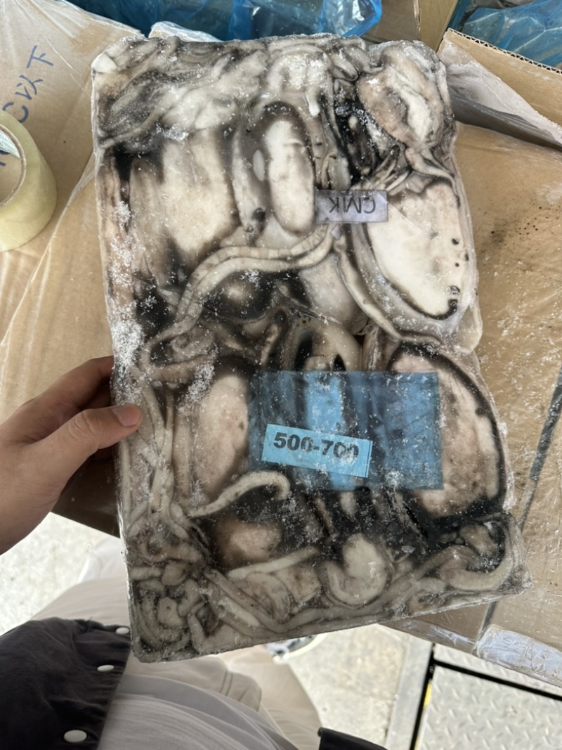 三角牌墨鱼300/500。500/700。700/100