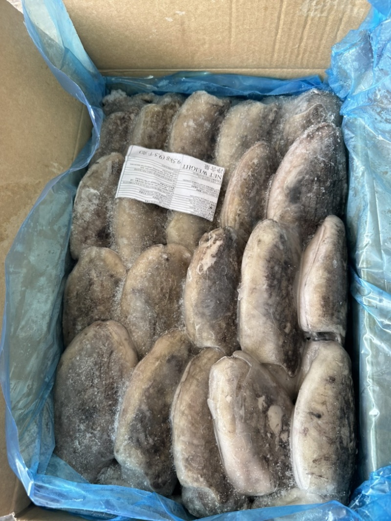 三角牌墨鱼300/500。500/700。700/100