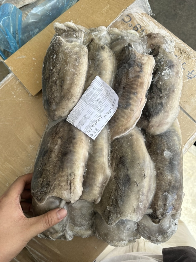 三角牌墨鱼300/500。500/700。700/100