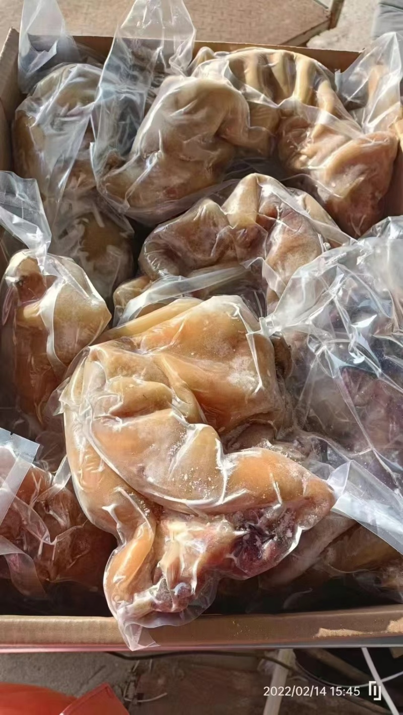 【熟牛蹄筋】去骨牛蹄全熟去骨牛蹄单个抽真空质量保证