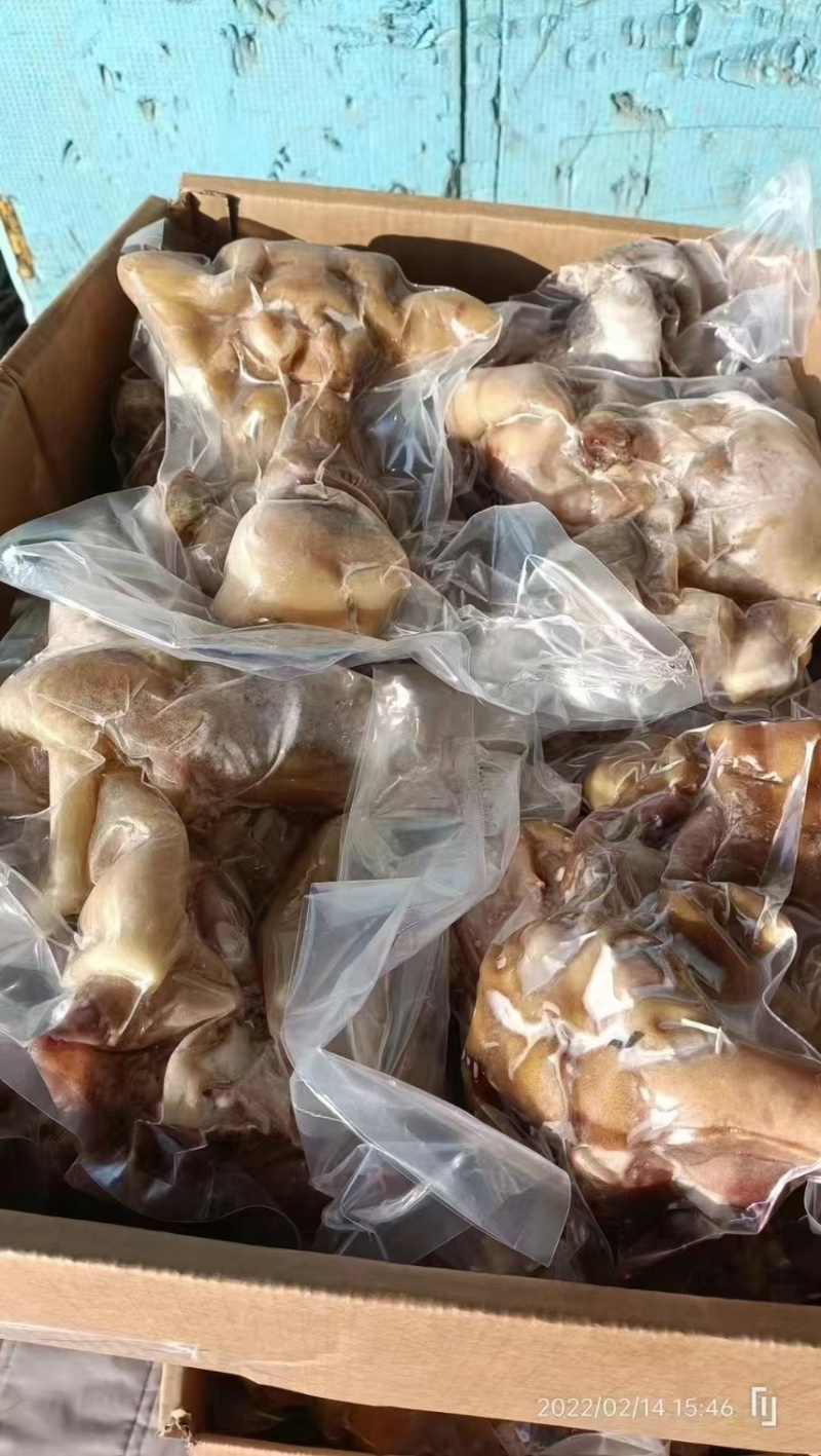 【熟牛蹄筋】去骨牛蹄全熟去骨牛蹄单个抽真空质量保证