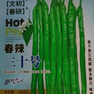 浅绿色线椒种子条型好挂果多辣椒本皮薄味辣