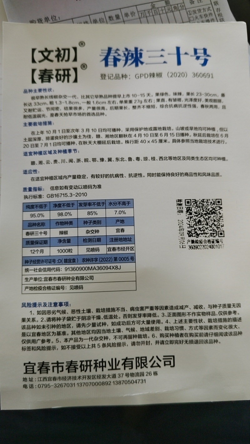 浅绿色线椒种子条型好挂果多辣椒本皮薄味辣