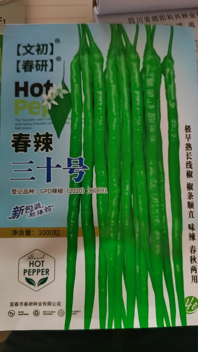 浅绿色线椒种子条型好挂果多辣椒本皮薄味辣