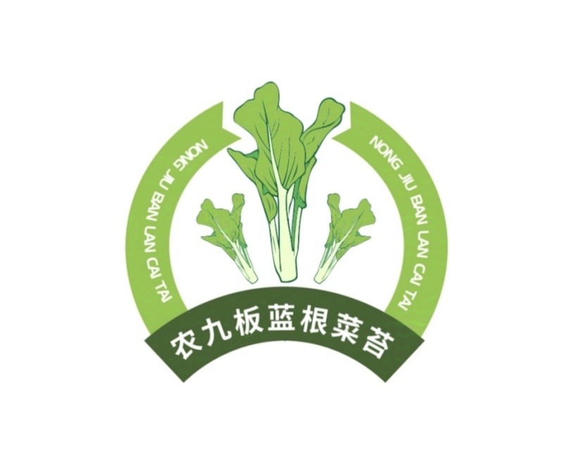 农九板蓝根菜心板蓝根菜苔含板蓝根成份授权省市代理商