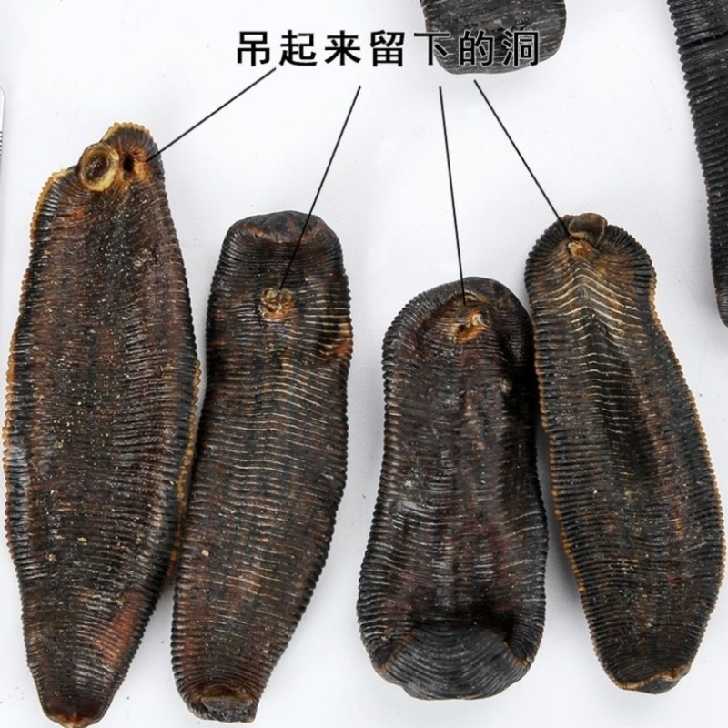 水蛭大个无矾清水水蛭足干蚂蟥宽体金线水蛭干货蚂蟥干