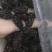 黑枣紫水晶枣万信药业只做精品药材