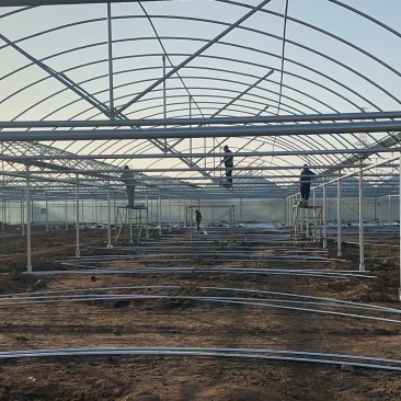 常年生产葡萄种植连栋棚樱桃种植连栋钢架全国发货