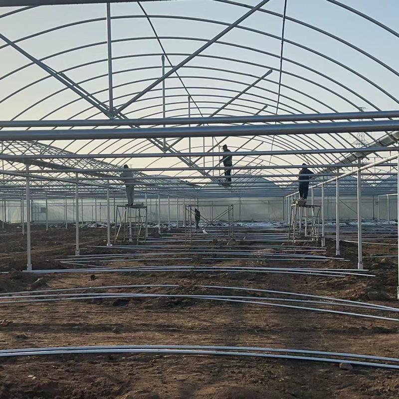 常年生产葡萄种植连栋棚樱桃种植连栋钢架全国发货