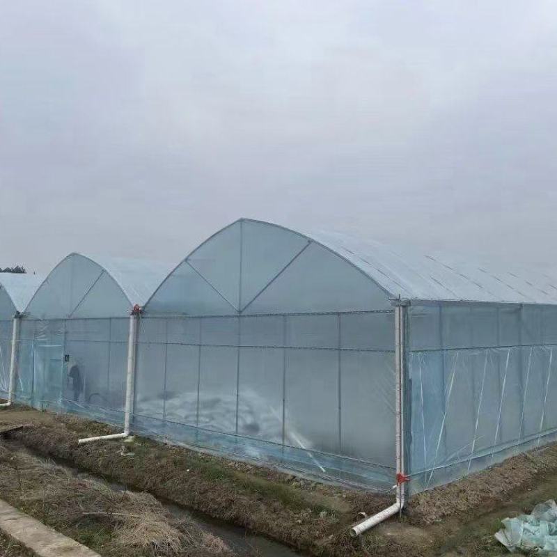 肩并肩连体种植大棚，结实耐用全国发货上门安装
