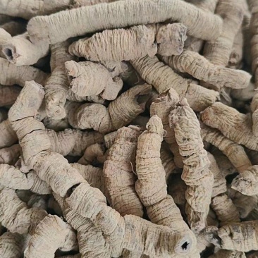 广东巴戟天大个精选好货，假一配四，看中直接下单