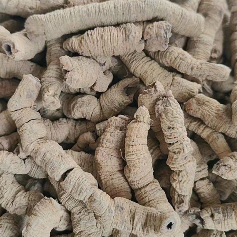 广东巴戟天大个精选好货，假一配四，看中直接下单