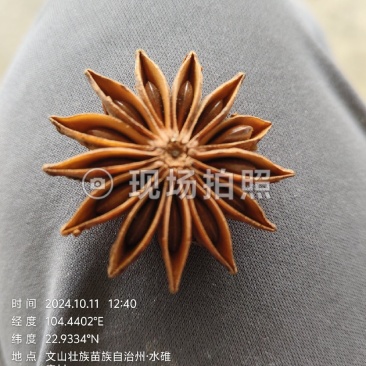 云南八角，水烫果，无硫