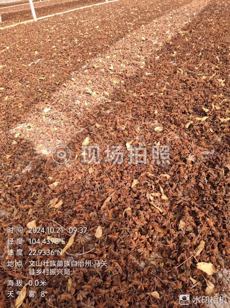 云南八角，水烫果，无硫