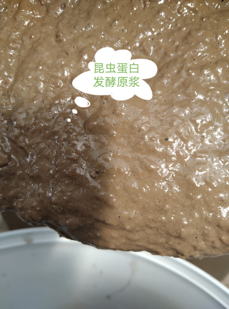 发酵原虫浆，小肽蛋白对虾功能饲料鱼虾蟹水产开口宝