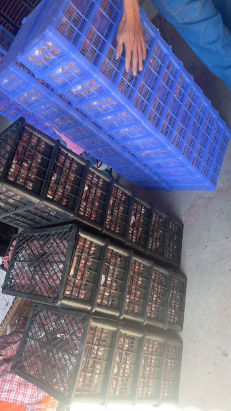 【复购高】柿饼/对接电商批发市场/视频看货/欢迎咨询