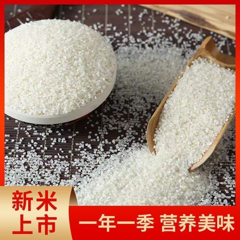 安徽碎米，产地一手货源，品质保证，量大从优，欢迎来电
